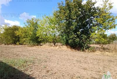 Teren intravilan, stradal in Petrachioaia IF, cu o SU de 1235 mp si deschidere Teren intravilan, stradal in Petrachioaia IF, cu o SU de 1235 mp si deschidere - 1