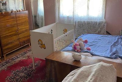 Vanzare casa cu etaj Lugoj - 2