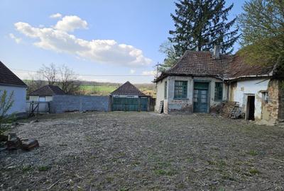 Casă cu 2 camere în Chioag - 5