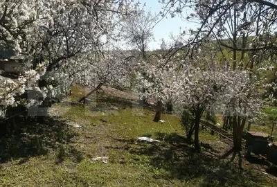 Casă cu 4 camere cu Teren 3200 Mp în Păingeni - 7