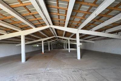 Spațiu comercial, de 200 mp, în Siliștea Snagovului - 2