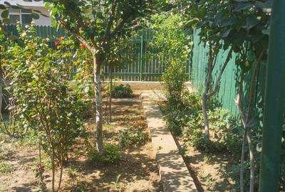 Casa locuibila,  din caramida, gaze,teren 360 mp cu deschidere 18, Palas - 4