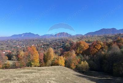 Teren de 2500 mp, în Bran - 9