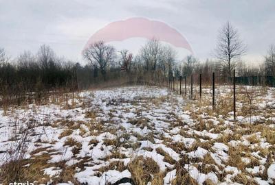 Spațiu comercial, în Cornu - 2