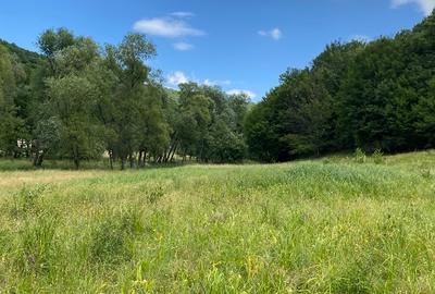 Teren extravilan de 8200 mp, în Ciucea - 11