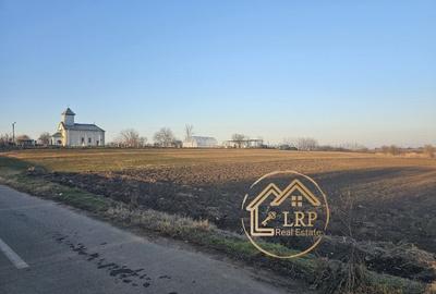 Dascalu-Creata-teren intravilan, str.Oituz, stradal, parcelabil - 4