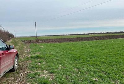 Vand parc.teren 7.800 mp(38x203),extravilan(posib.intravilan)la inrare in Zadareni - 1