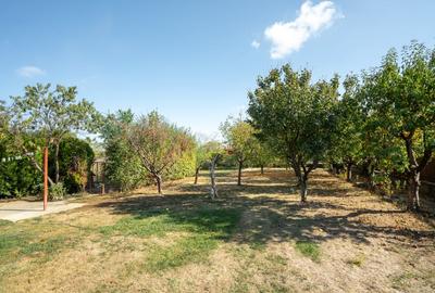 Casa de familie in Saftica - 32
