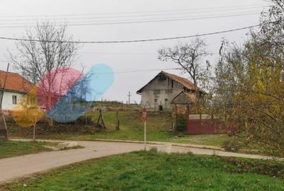 Casa individuala 1 camera, 51 mp, 3000 mp teren, Geaca - 5