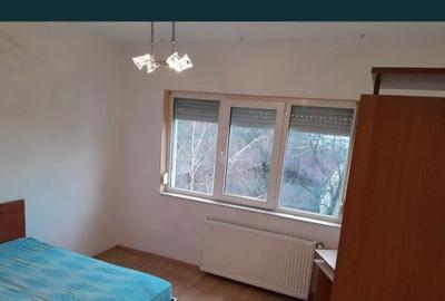 Apartament cu 2 camere decomandat în Nufărul - 7
