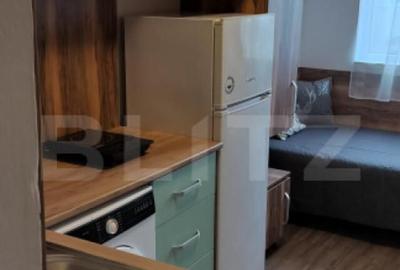 Garsoniera de vanzare, 13 mp, zona Careiului - 1