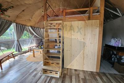 LOCATIE DEOSEBITA - Miron Costin - 6