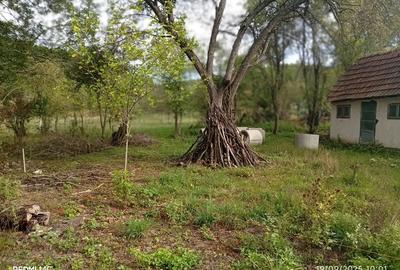 Casă cu 4 camere în Ilteu - 3