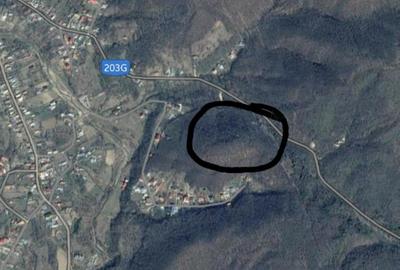 Teren de 5002 mp, în Sărata - 2