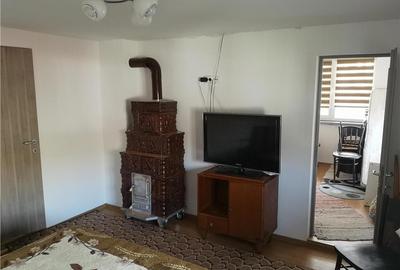 Casă cu Teren 5060 Mp în Vispești - 2