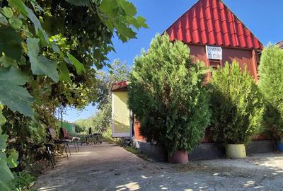 Casă cu 2 camere cu Teren 709 Mp în Roata de Jos - 5