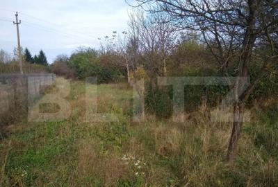 Teren de 4170 mp, în Bercu Roșu - 3