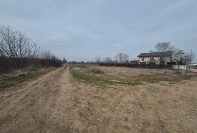 Teren intravilan ieftin Balotesti, 1100 mp, 25000 euro - 2