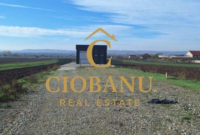 Hala de vanzare in Racari de Jos - 18