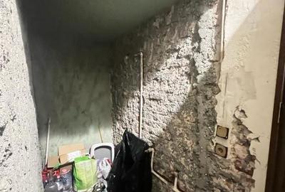 Parc Carol vila interbelica cu 5 camere 116 mp si demisol - 9