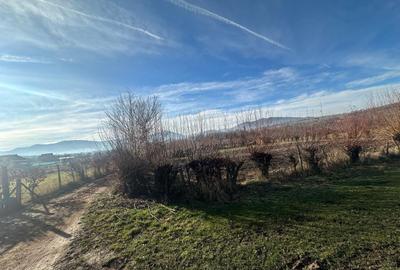 Teren Construcții intravilan de 1080 mp, în Rășinari - 2