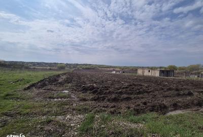 Teren de 3300 mp, în Periș - 2