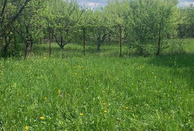 Breaza Vanzare  Pensiune Vila peste  20 camere 200 000eur Breaza Vanzare  Pensiune Vila peste  20 camere 200 000eur - 5