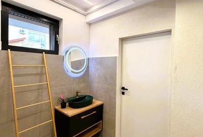 Iancu Nicolae, finalizata 2024, 5 minute campus Cambridge - 11