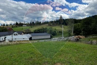 Teren 4397 mp Intravilan Manastirea Humorului / Lunga Bucovina - 13