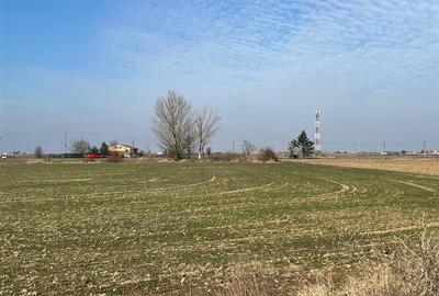 Teren Construcții intravilan de 5985 mp, în Nojorid - 3