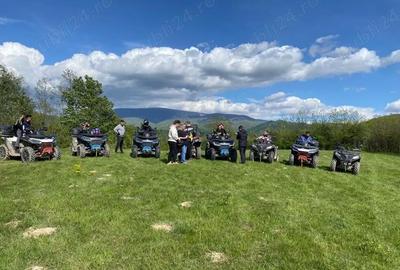 Teren de 10000 mp, în Borlova - 1