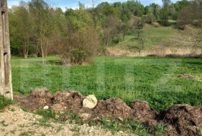 Teren intravilan/extravilan - 2