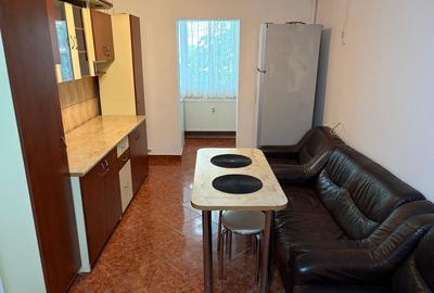 Apartament cu 2 camere decomandat, mobilat în Bucovina - 6