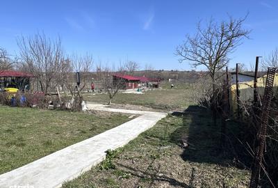 Teren de 3000 mp, în Mischii - 3