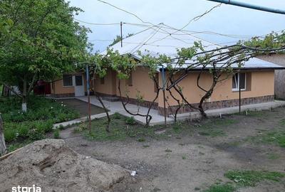 Casă cu 4 camere cu Teren 70 Mp în Prisăcani - 3