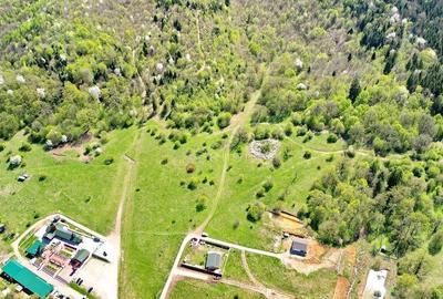 Teren de 5500 mp, în Cristian