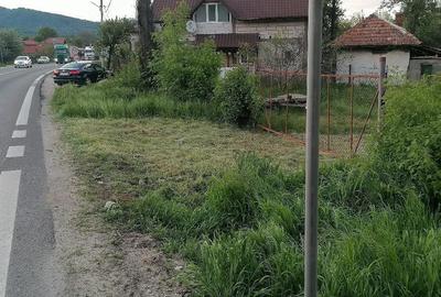 Teren de 800 mp, în Bujoreni - 1