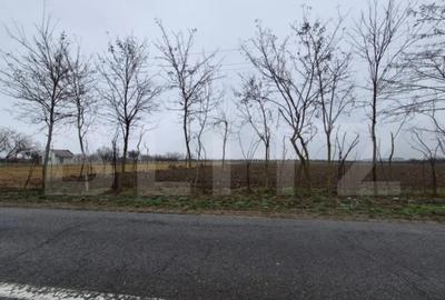 Teren de 2500 mp, în Sud - 3