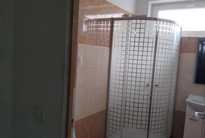 Garsonieră decomandată în Turnișor - 5