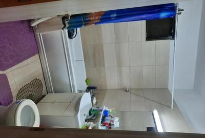 Apartament cu 3 camere decomandat în Roșu - 9