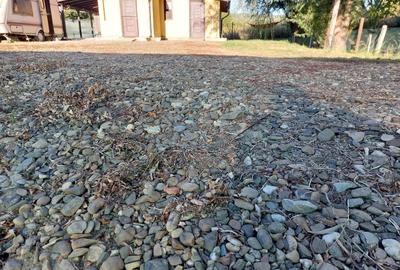 Comarna (aproape de Tomesti) - Proprietate unică la marginea pădurii - 2