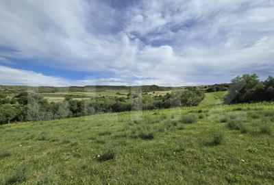 Teren intravilan, construibil in MACICASU , 3 KM de la Chint - 5