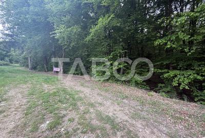 Teren Construcții intravilan de 1000 mp, în Drăguș - 3