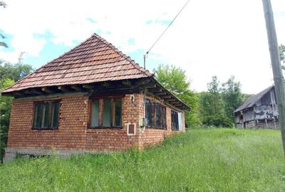 Borlovenii Noi, Teren Drept, 16000mp, la Limita Localitatii - 18