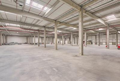 Spatii industriale de inchiriat in cadrul WDP Timisoara Park - Sag III - 7