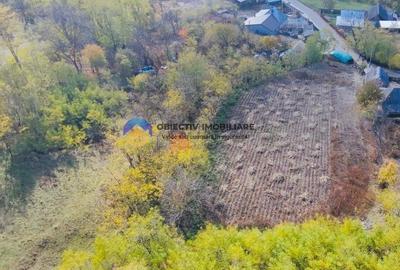 Teren de vanzare 11.766 mp - Costisa, judetul Neamt - 3