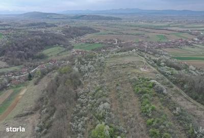 Teren de 8114 mp, în Holod - 6