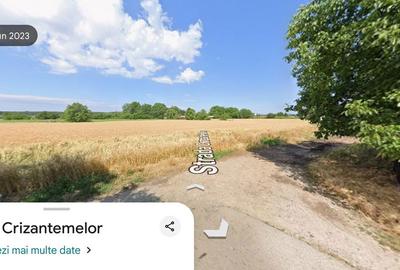 Teren de 2000 mp, în Dascălu - 2