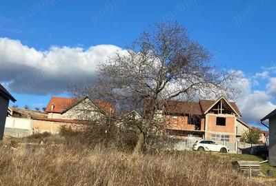 Spațiu comercial, în Șura Mare - 5