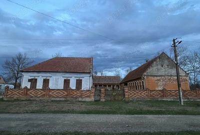 Casă în Drăgoiești - 3